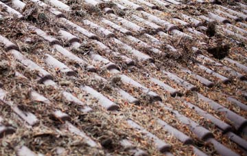 Woodsford roof cleaning companies