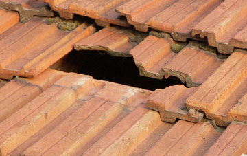 roof repair Woodsford, Dorset